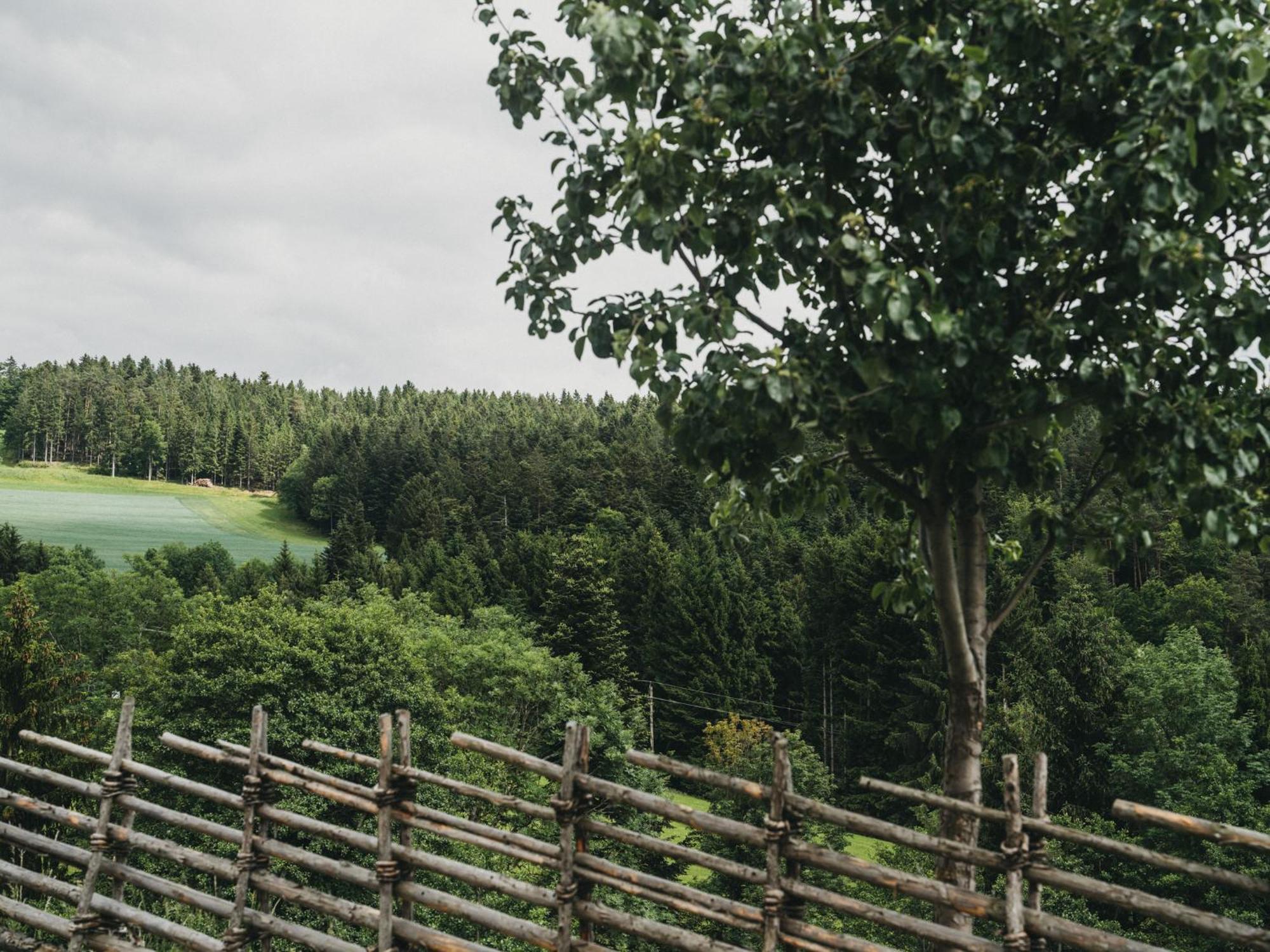 Hotel Muhr Pöllauberg Екстериор снимка